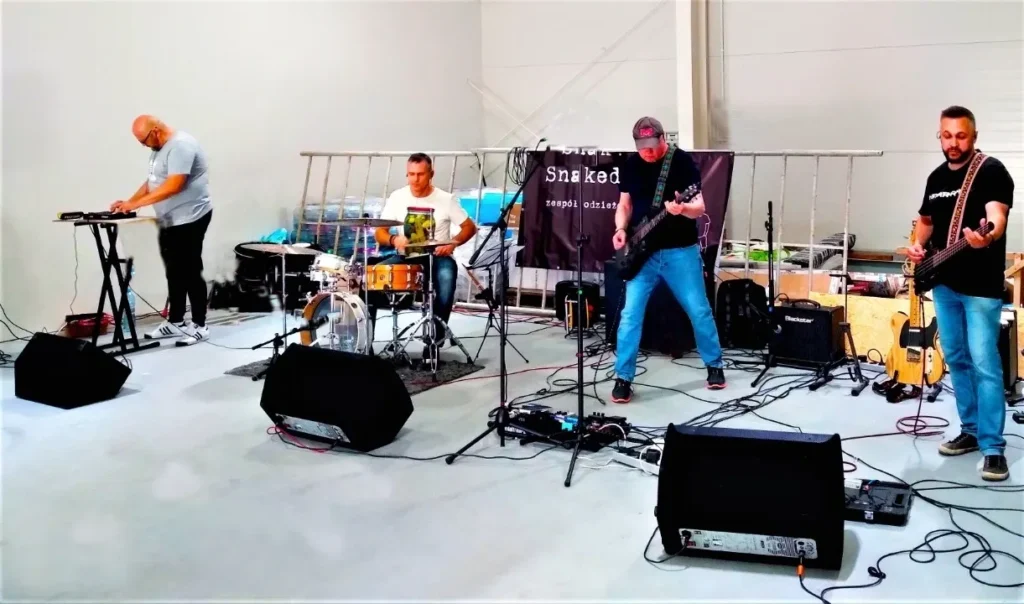 Snakedoctors releases new version of their rock single- Destroyed