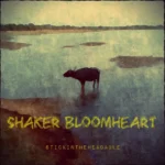 Shaker Bloomheart Unveils A Captivating And Dynamic New EP