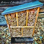 “Modern Life” By Sahara Cyberstars: A Poignant Anthem For Today’s Fast-Paced World