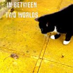 Nelda Presents ‘In-between Two Worlds’: A Captivating Piece Bridging Jazz And Pop With Emotional Depth
