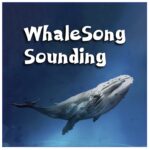 ‘WhaleSong Sounding’: A Masterful Ode To Marine Majesty By Lowland Folk