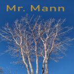 “Mr. Mann” by James M LaRocque: A Joyful Fusion Of Soft Rock And Pop Delight