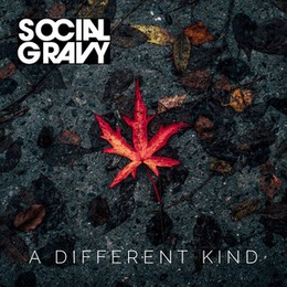 Social Gravy