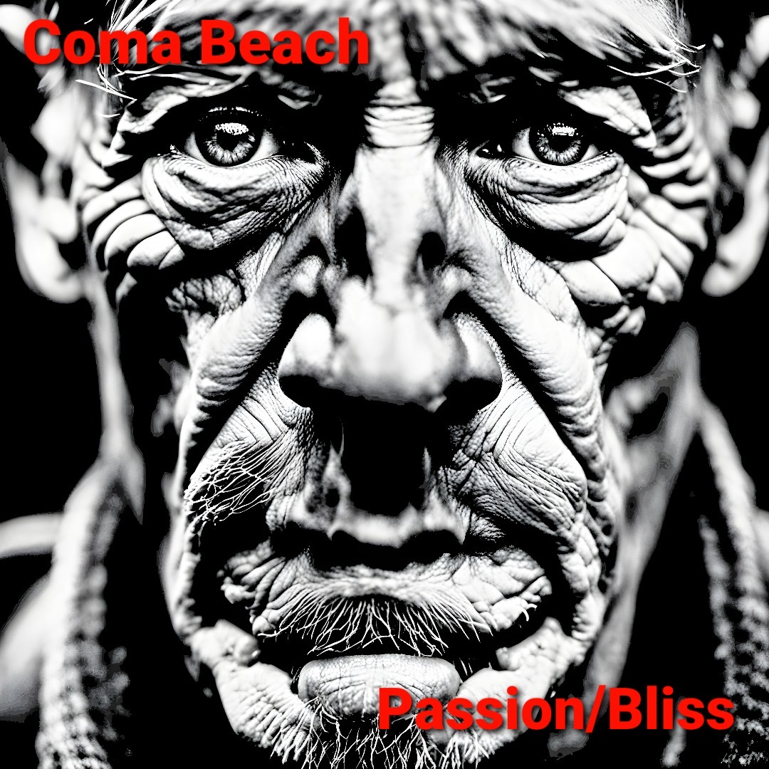 Coma Beach Presents Passion/Bliss: An Explosive EP With Electrifying Tracks