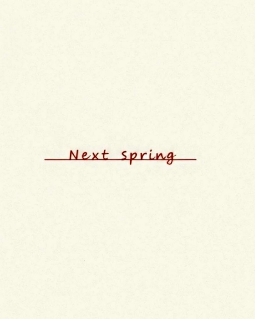 Dan Cooney - Next Spring
