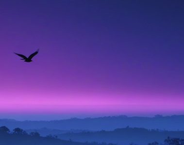 Aleksandra Picariello – Don't Fly Away