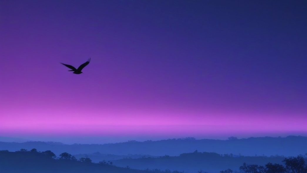 Aleksandra Picariello – Don't Fly Away