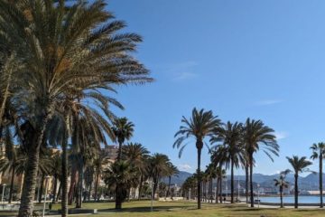 Volcanic Shores – My Friend Lives on the Coast