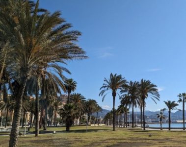 Volcanic Shores – My Friend Lives on the Coast