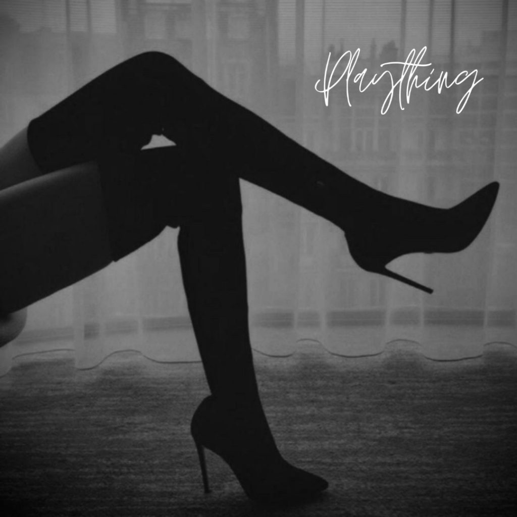 The Silhouet - Plaything