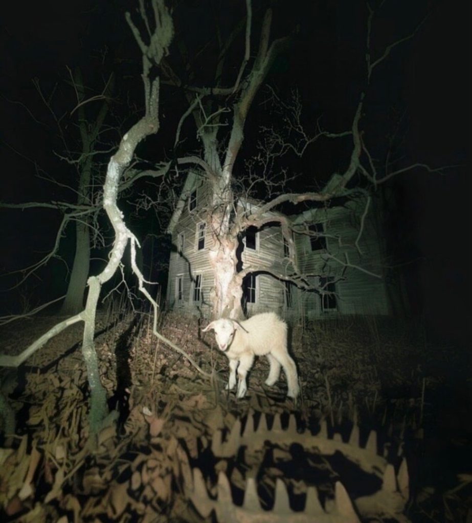 Ju Blick – No More Opps