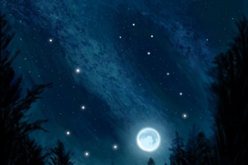 B-Fasheezy – Moonlit Summer