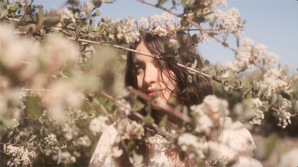 Credit: Credit: Allie Feldman