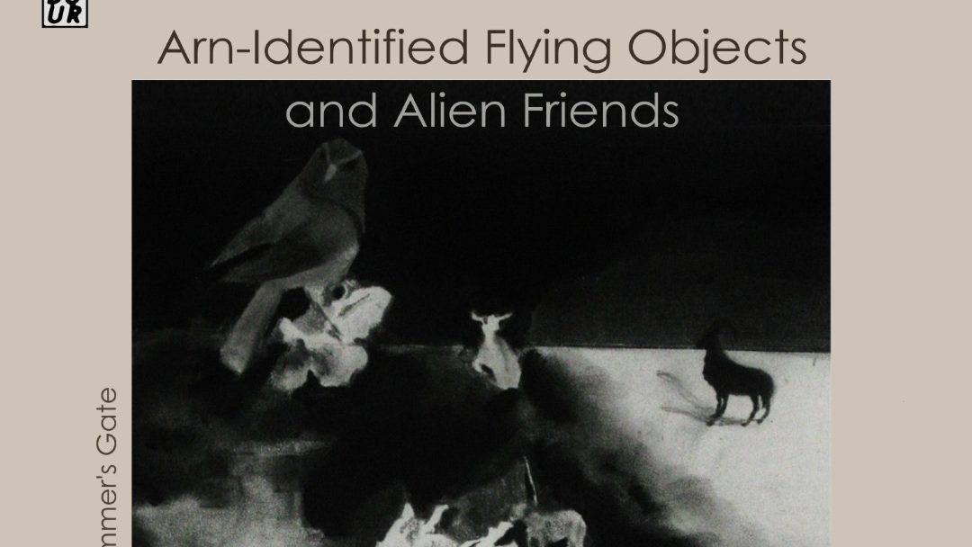Arn Identified Flying Objects and Alien Friends – Summer's Gate