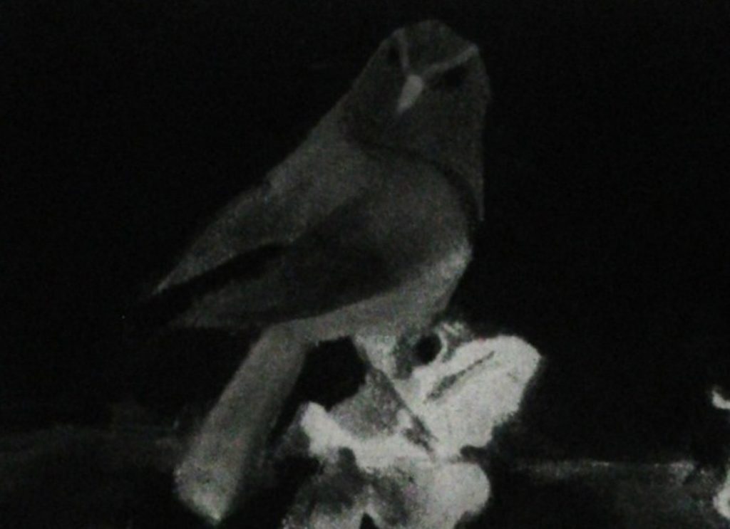 Credit: Photo by (and of) Daniel Lagerlöf