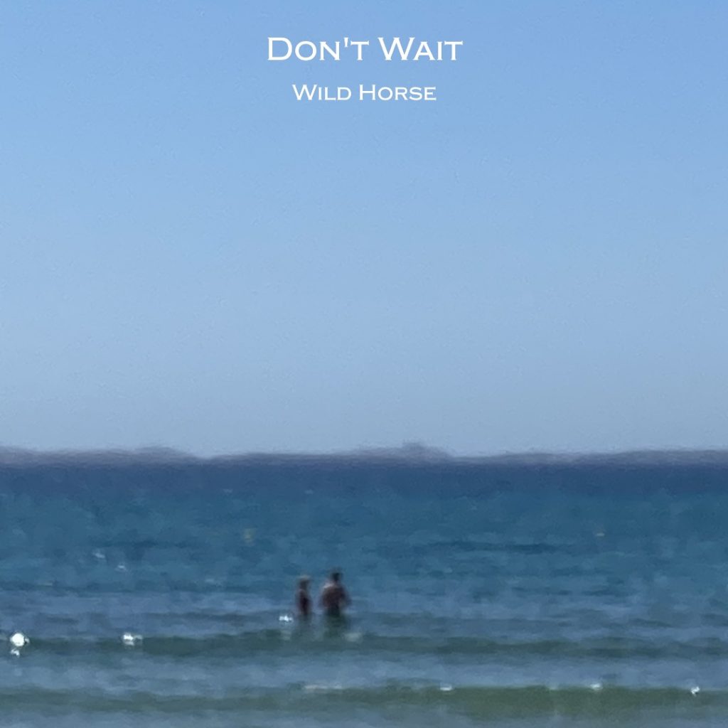Wild Horse – Don’t Wait