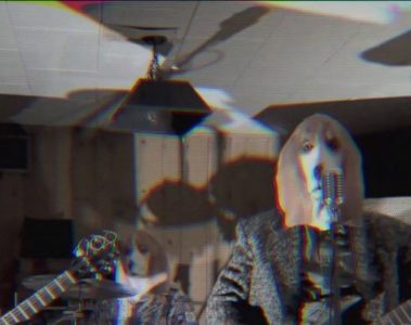 The House Flies - Sweet Foxhound