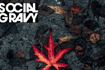 Social Gravy – A Different Kind