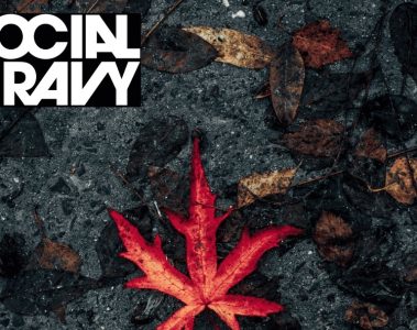 Social Gravy – A Different Kind