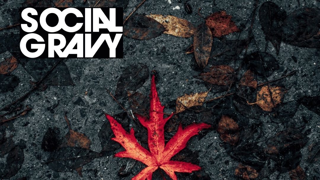 Social Gravy – A Different Kind