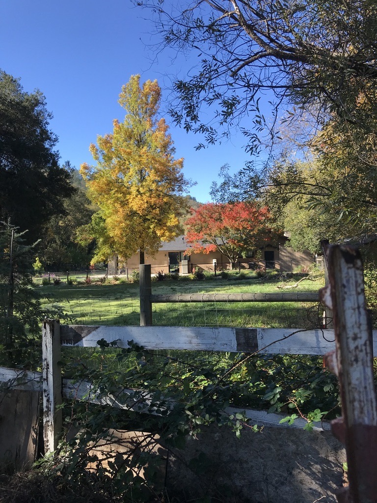 Michellar – September Michellar – September