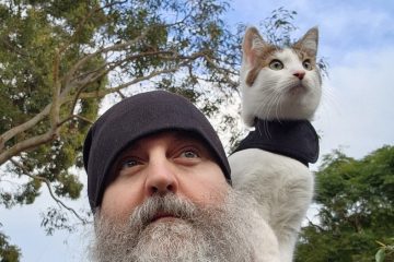 Cat Cork – Simple Song (Acoustic)