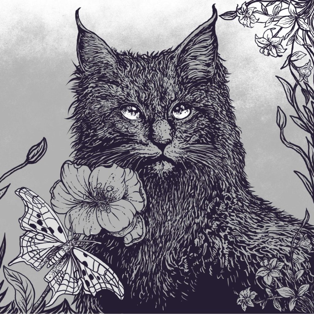 Cat Cork – Simple Song (Acoustic) Cat Cork – Simple Song (Acoustic)