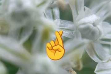 Hand Gestures – Justin's Funeral