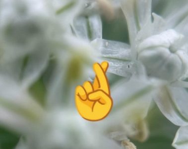 Hand Gestures – Justin's Funeral