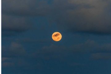 Silky Vibe – Moody