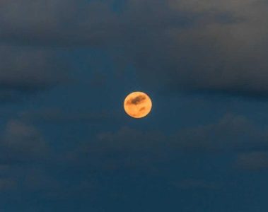 Silky Vibe – Moody