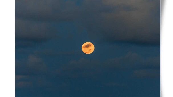 Silky Vibe – Moody EP Review: An Intimate, Emotionally Rich Trap Soul Journey Exploring Vulnerability, Reflection, And Post-Relationship Turbulence Silky Vibe – Moody