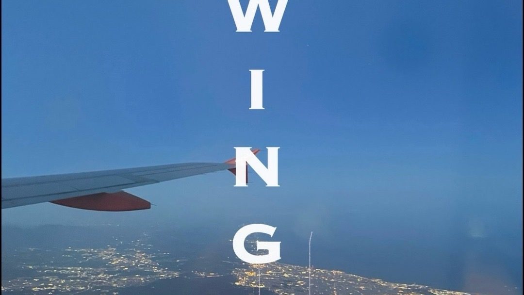 Fiona Amaka – Wingman