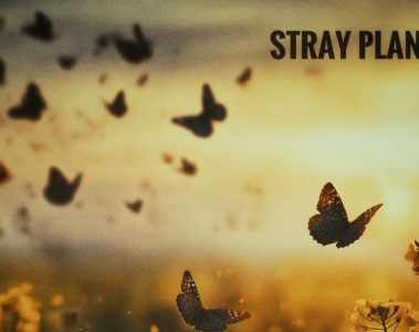 Stray Planets - Hallucinations