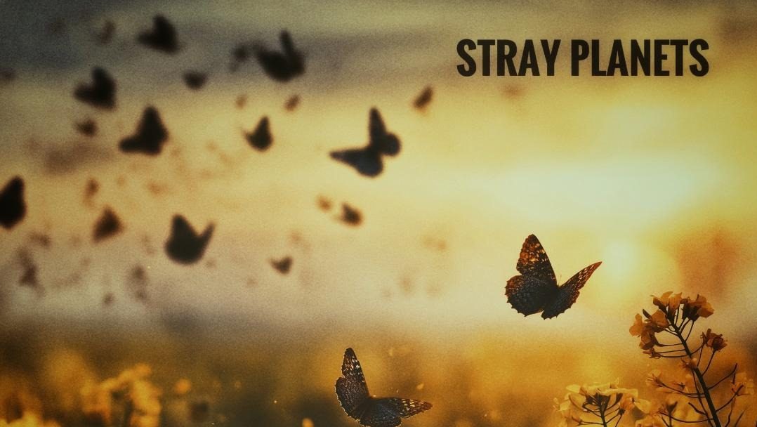 Stray Planets - Hallucinations