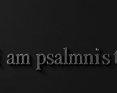 I AM PSALMNIST – Heccup