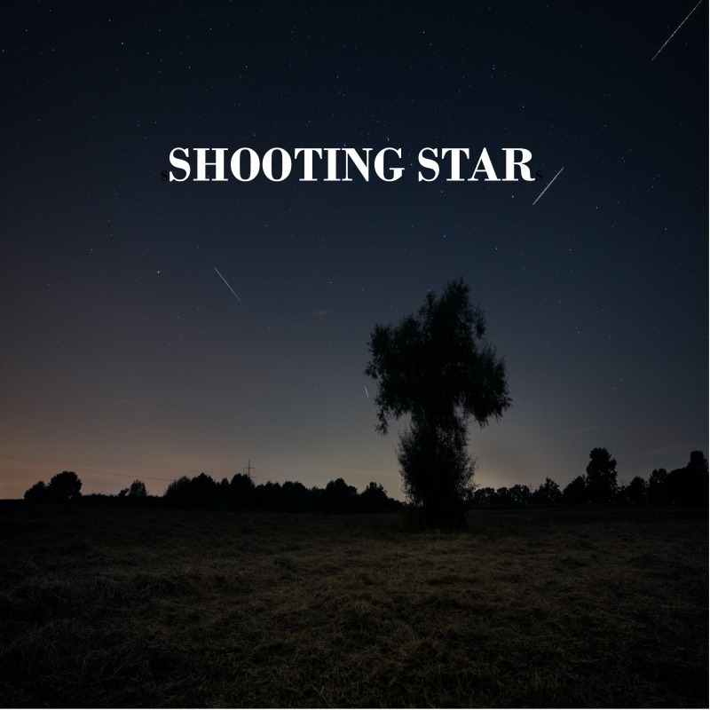 Mark Anthony Bartolo – Shooting Star