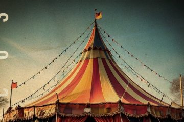 Arctic Wave – Circus