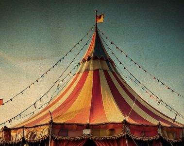 Arctic Wave – Circus