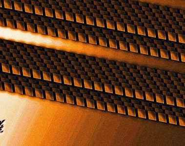 SHY.COMFY.DENSE. – Ruckus