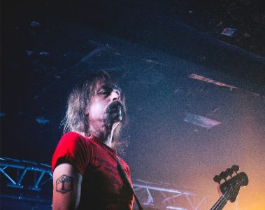 Weak Trees – Animal