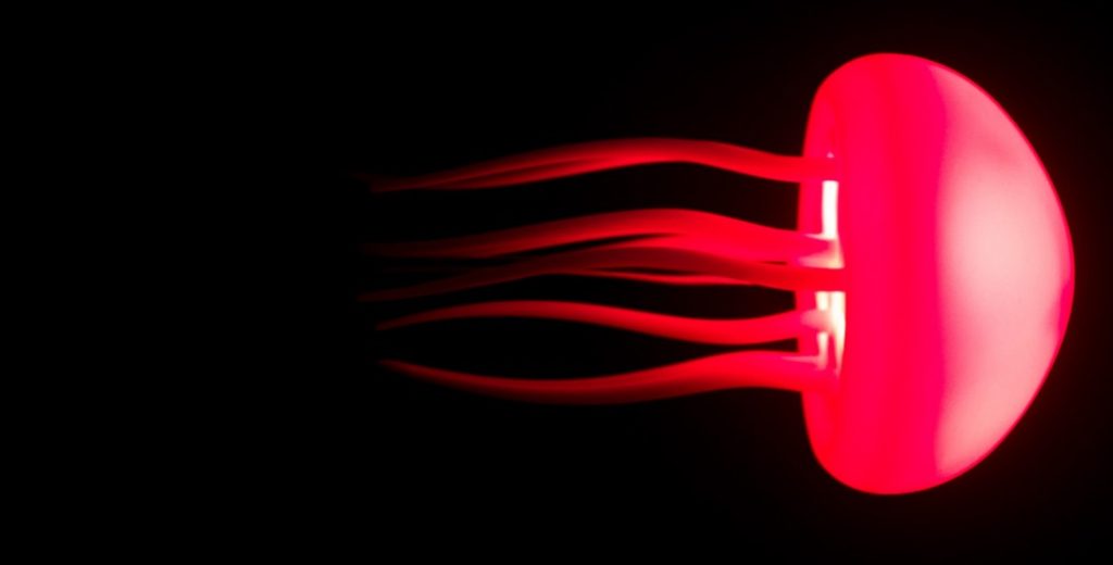 Hachè Costa – L’Atlantique Hachè Costa – L’Atlantique