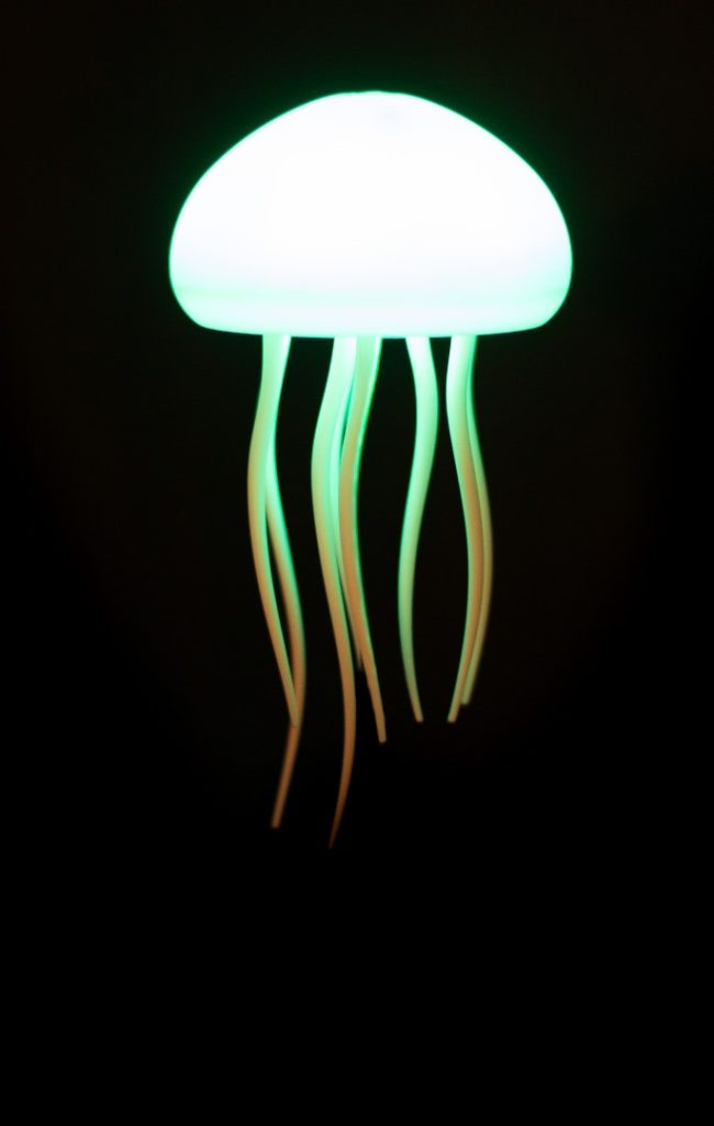 Hachè Costa – L’Atlantique Hachè Costa – L’Atlantique