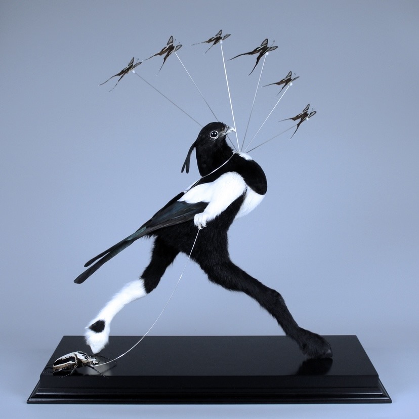 THORN – The People THORN – The People