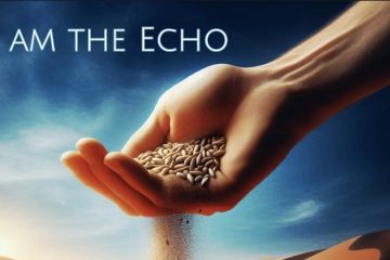 Near Earth Objects – I am the Echo