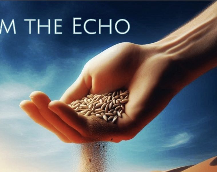 Near Earth Objects – I am the Echo