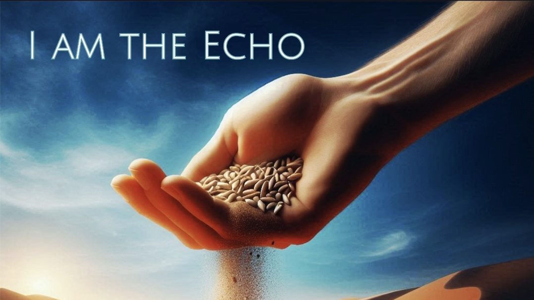 Near Earth Objects – I am the Echo