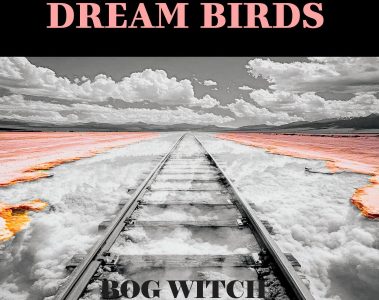 Bog Witch – Dream Birds