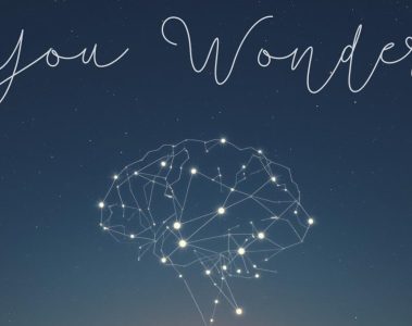 Euplasia – You Wonder