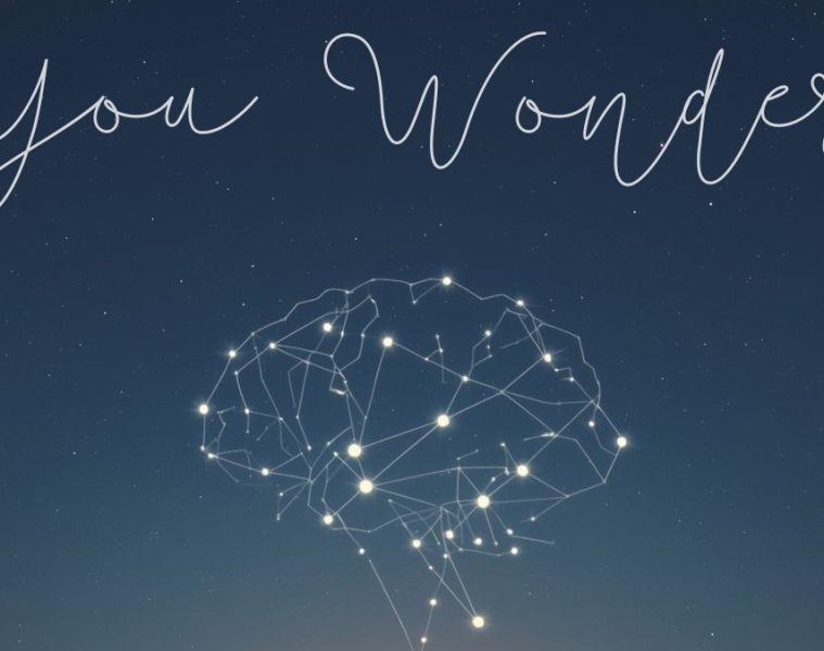 Euplasia – You Wonder